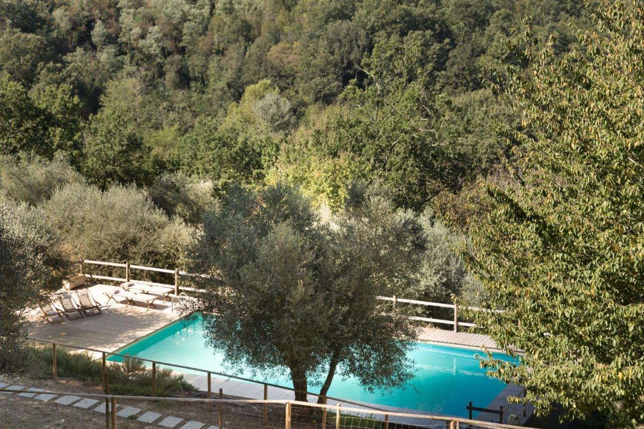 Alpaca Country House Pontedera Buitenkant foto